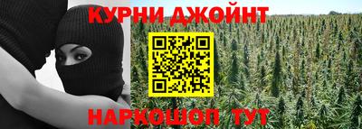 МДПВ Будённовск
