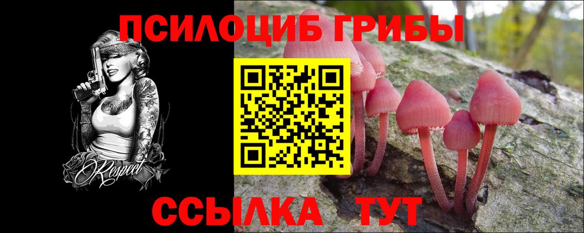 Волхов  Псилоцибиновые грибы MAGIC MUSHROOMS  Псилоцибиновые грибы GOLDEN TEACHER  Вход с VPN 
